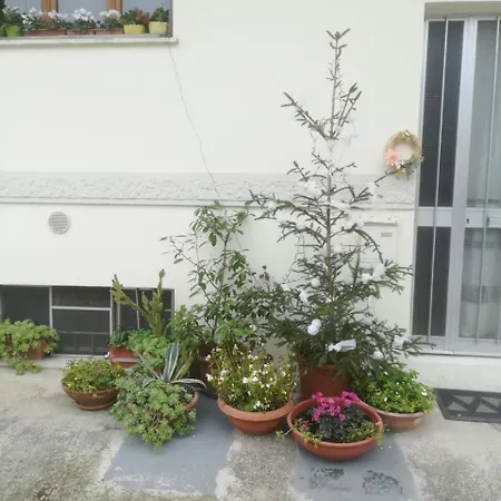 شقة Caterina House
